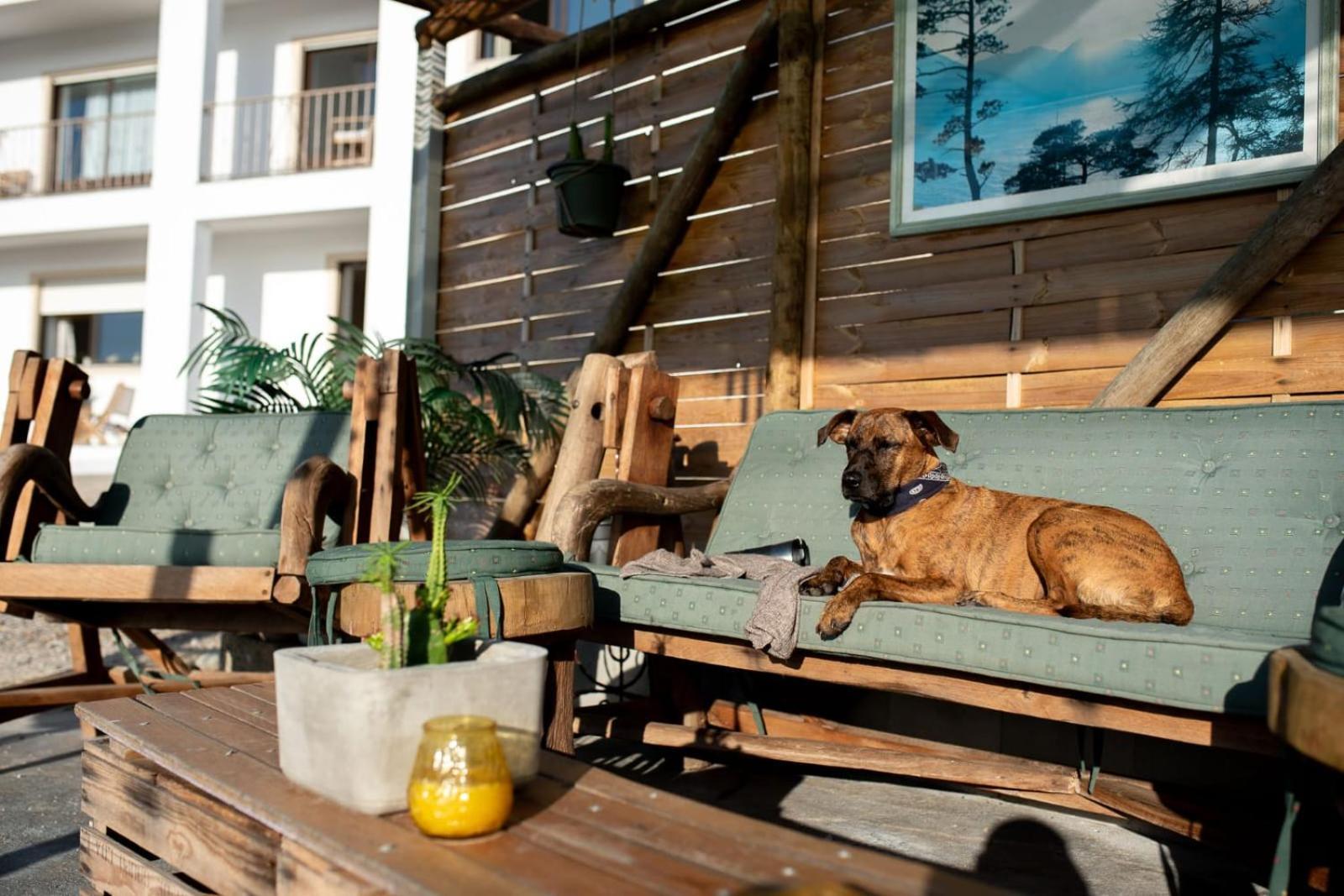 Villa Intuitiva - Relaxation And Mindful Stay โลรินญา ภายนอก รูปภาพ